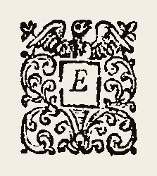 Ornament 0380