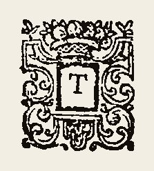 Ornament 0382