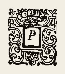 Ornament 0384