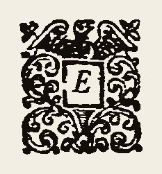 Ornament 0385