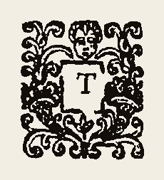 Ornament 0387