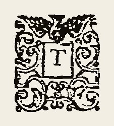 Ornament 0389