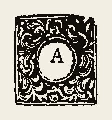 Ornament 0390