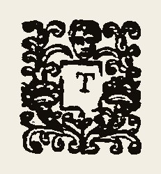 Ornament 0392