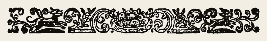 Border 1323