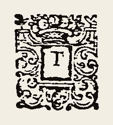 Ornament 0394