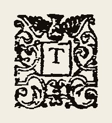 Ornament 0402