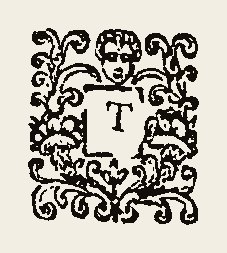 Ornament 0406