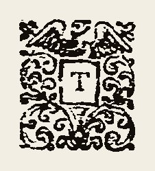 Ornament 0407