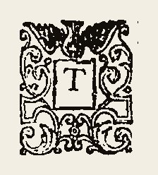 Ornament 0409