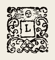 Ornament 0410