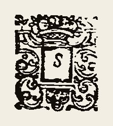 Ornament 0419