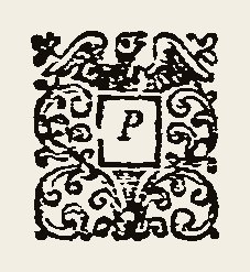 Ornament 0420