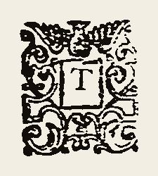 Ornament 0422