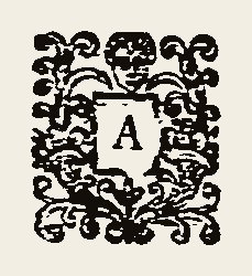 Ornament 0423