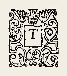 Ornament 0424