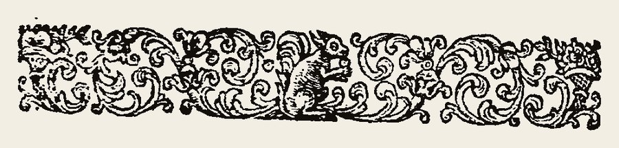 Border 1343