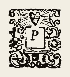 Ornament 0429