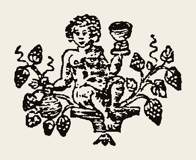 Ornament 0431
