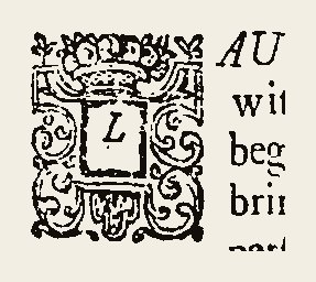 Ornament 0432