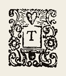 Ornament 0440