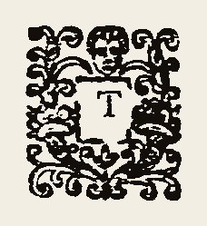 Ornament 0445