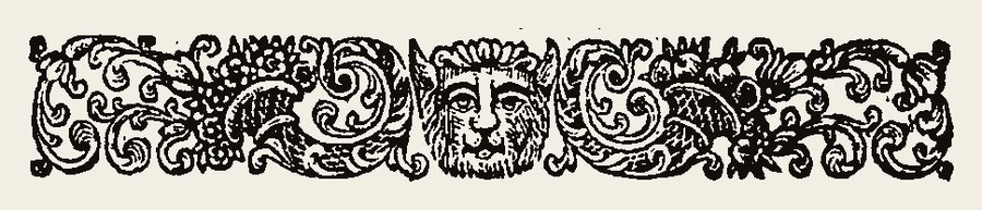Border 1355