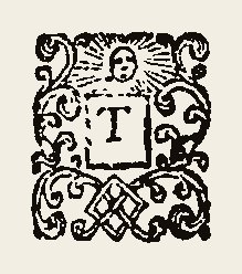 Ornament 0451