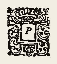 Ornament 0453