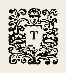 Ornament 0457