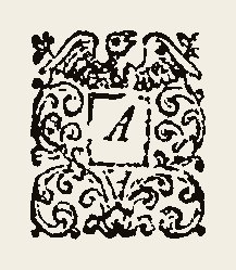 Ornament 0461