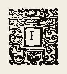 Ornament 0462