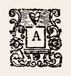 Ornament 0464