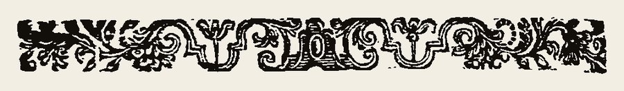 Border 1365