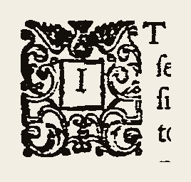 Ornament 0471