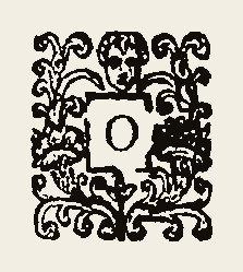Ornament 0473