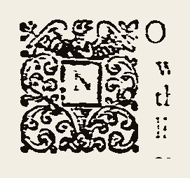 Ornament 0475