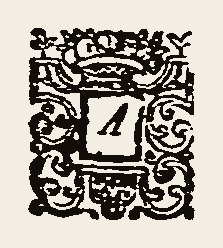 Ornament 0476