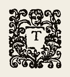 Ornament 0478