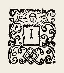Ornament 0480