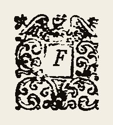 Ornament 0484