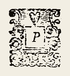 Ornament 0486