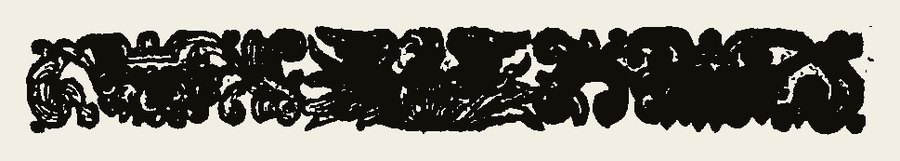 Border 1394