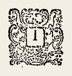 Ornament 0492