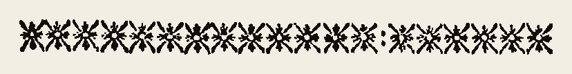 Border 1401