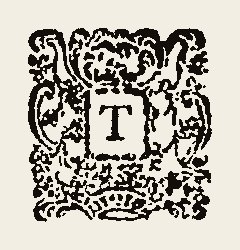 Ornament 0493