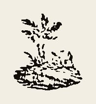Ornament 0506
