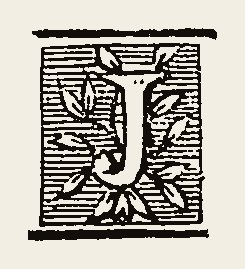 Ornament 0520