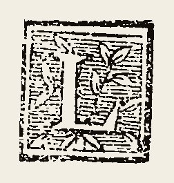 Ornament 0524