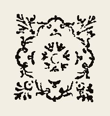 Ornament 0541
